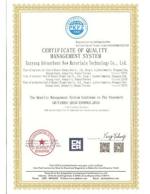 Μεγάλη έλαση ανταλλαγής ανιόντων με πόρους